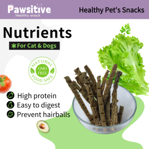Healthy Cat Grass & Chicken Stick