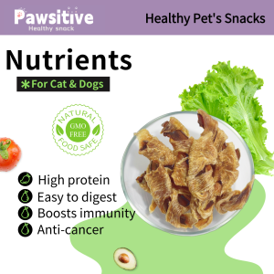Healthy Chicken Breast Rolled Pumpkin Slice