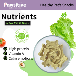 Healthy Chicken Cat Grass Little Bone