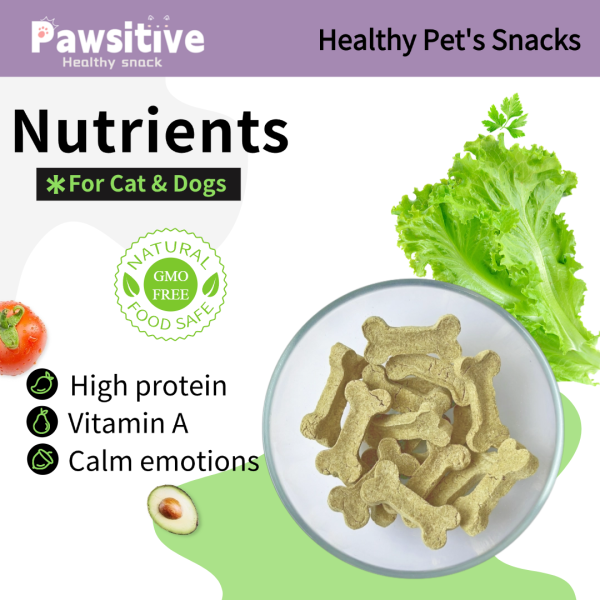 Healthy Chicken Cat Grass Little Bone