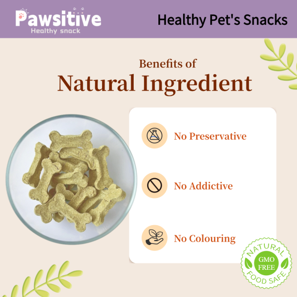 Healthy Chicken Cat Grass Little Bone