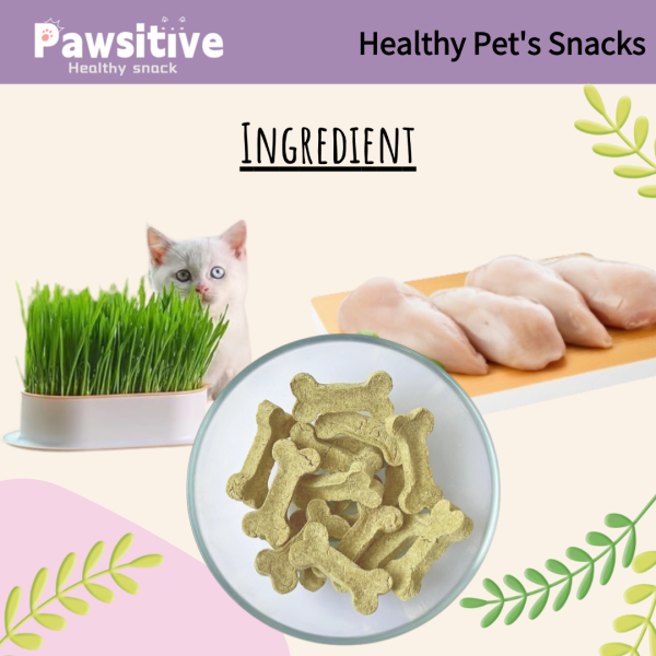 Healthy Chicken Cat Grass Little Bone