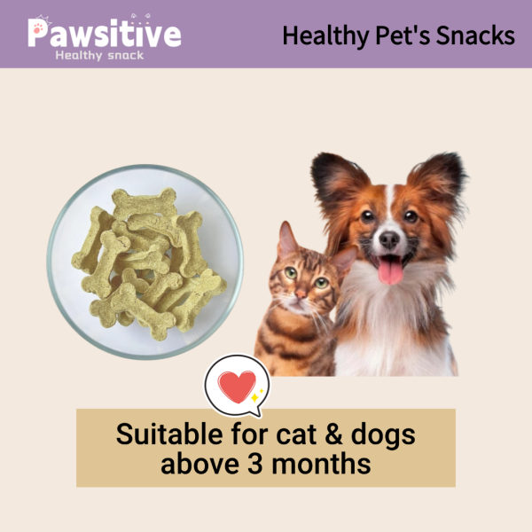 Healthy Chicken Cat Grass Little Bone