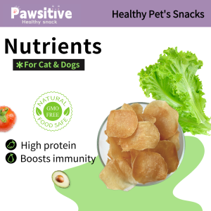 Healthy Chicken Chip