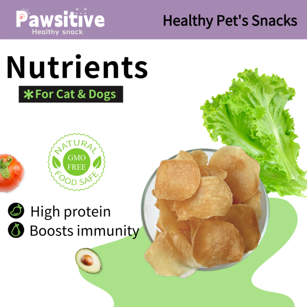 Healthy Chicken Chip