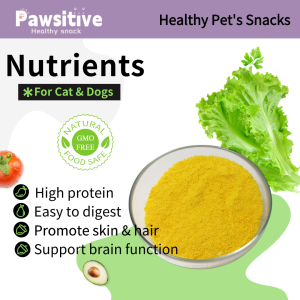 Healthy Egg Yolk Powder