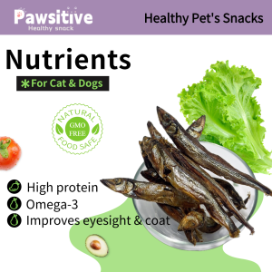 Healthy Freeze Dried Capelin