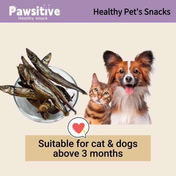Healthy Freeze Dried Capelin
