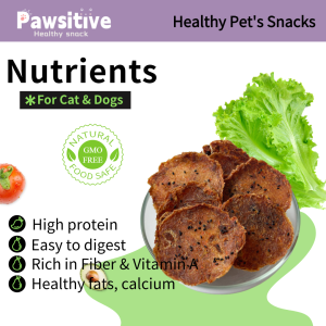 Healthy Sesame Carrot & Chicken Pancake