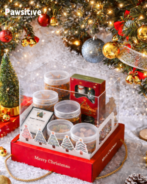 Christmas Premium Box