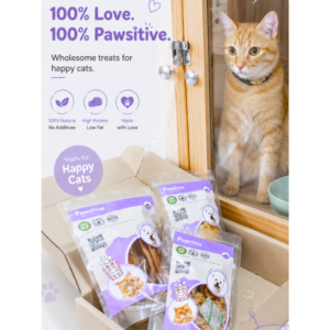 Basic Gift Box